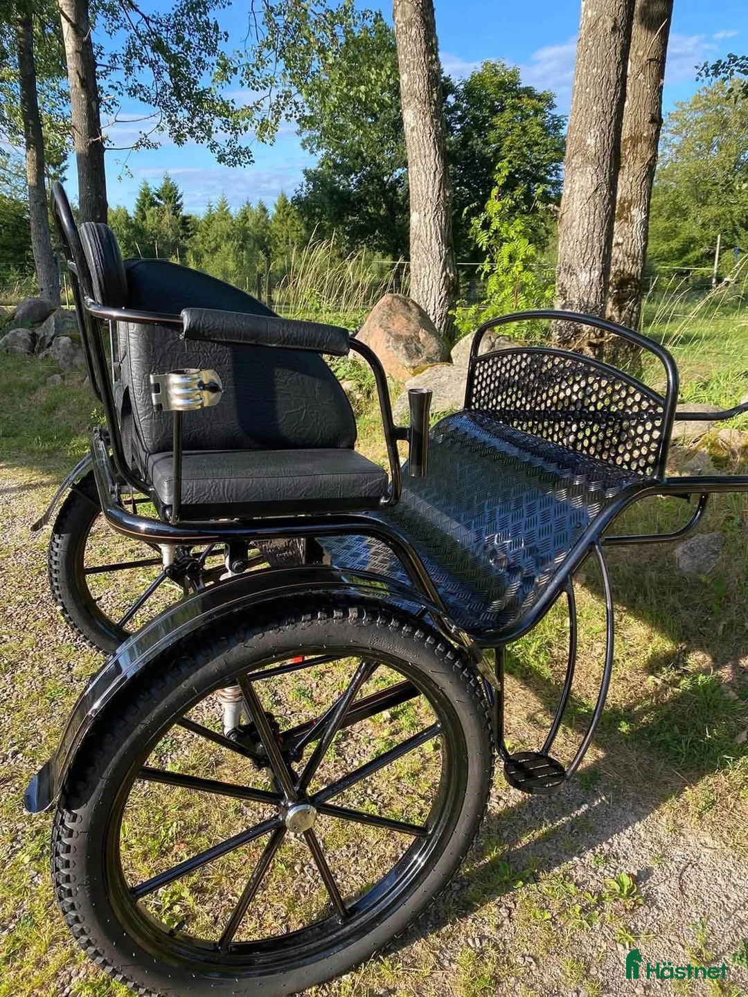 Körvagnar körning till salu: Rockard/Gigg i nyskick för C-D- ponny - Annons 2