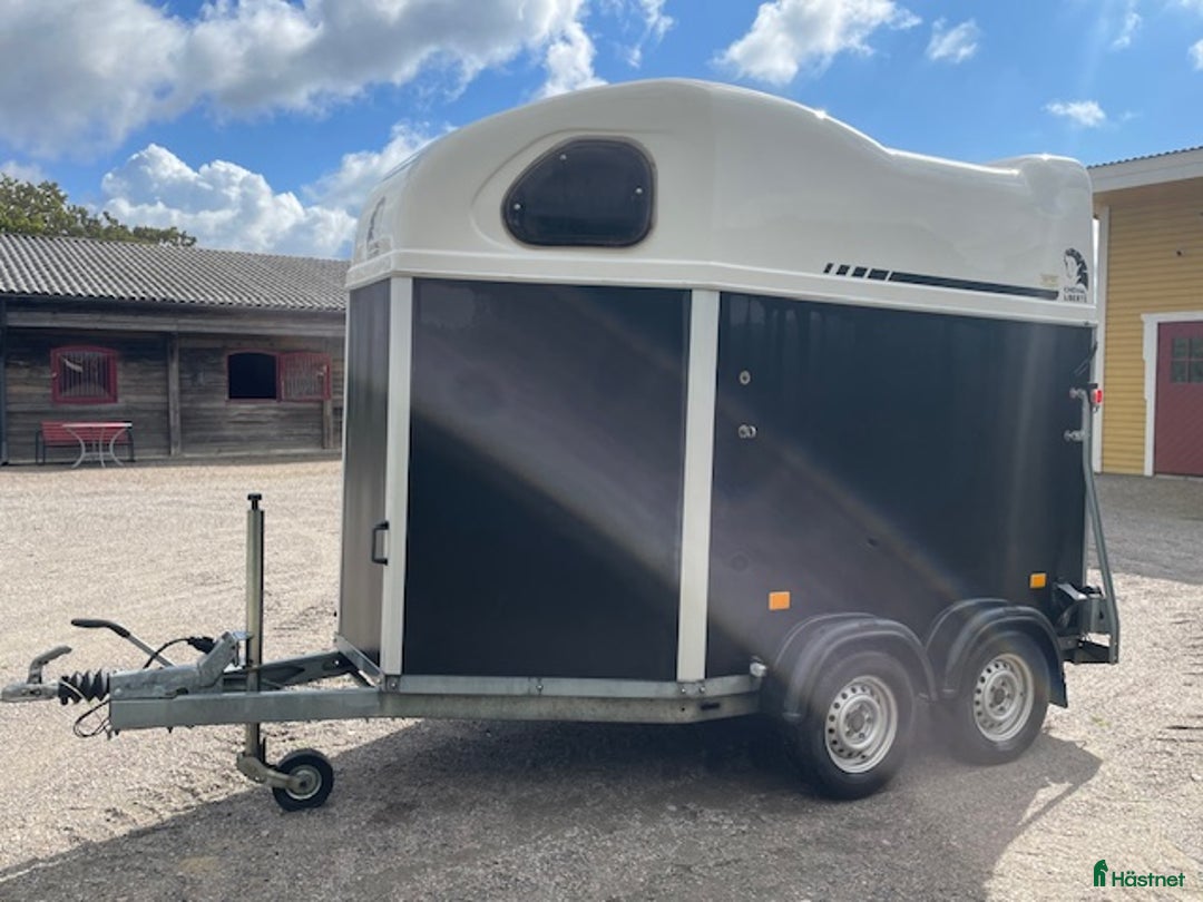 Hästtransporter  fordon & transport till salu: Gold First i Hjärnarp - Annons 2