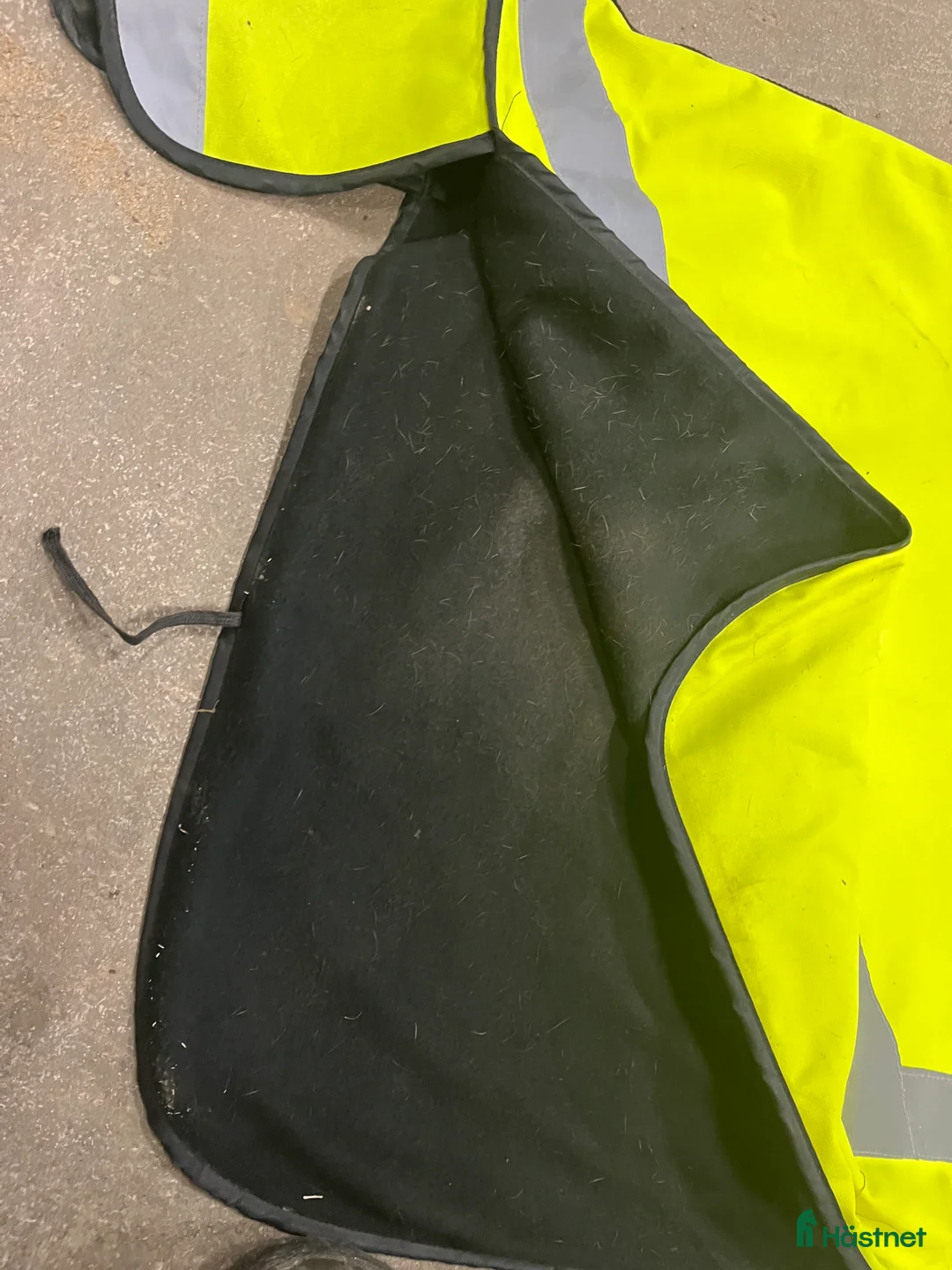 Övrig Hästutrustning hästutrustning till salu: Hästgrejer  i Umeå - Annons 9