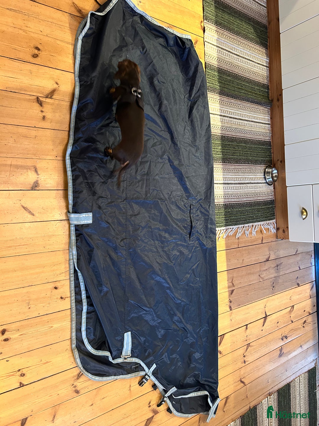 Täcken hästutrustning till salu: Regnridtäcke i Sala - Annons 1