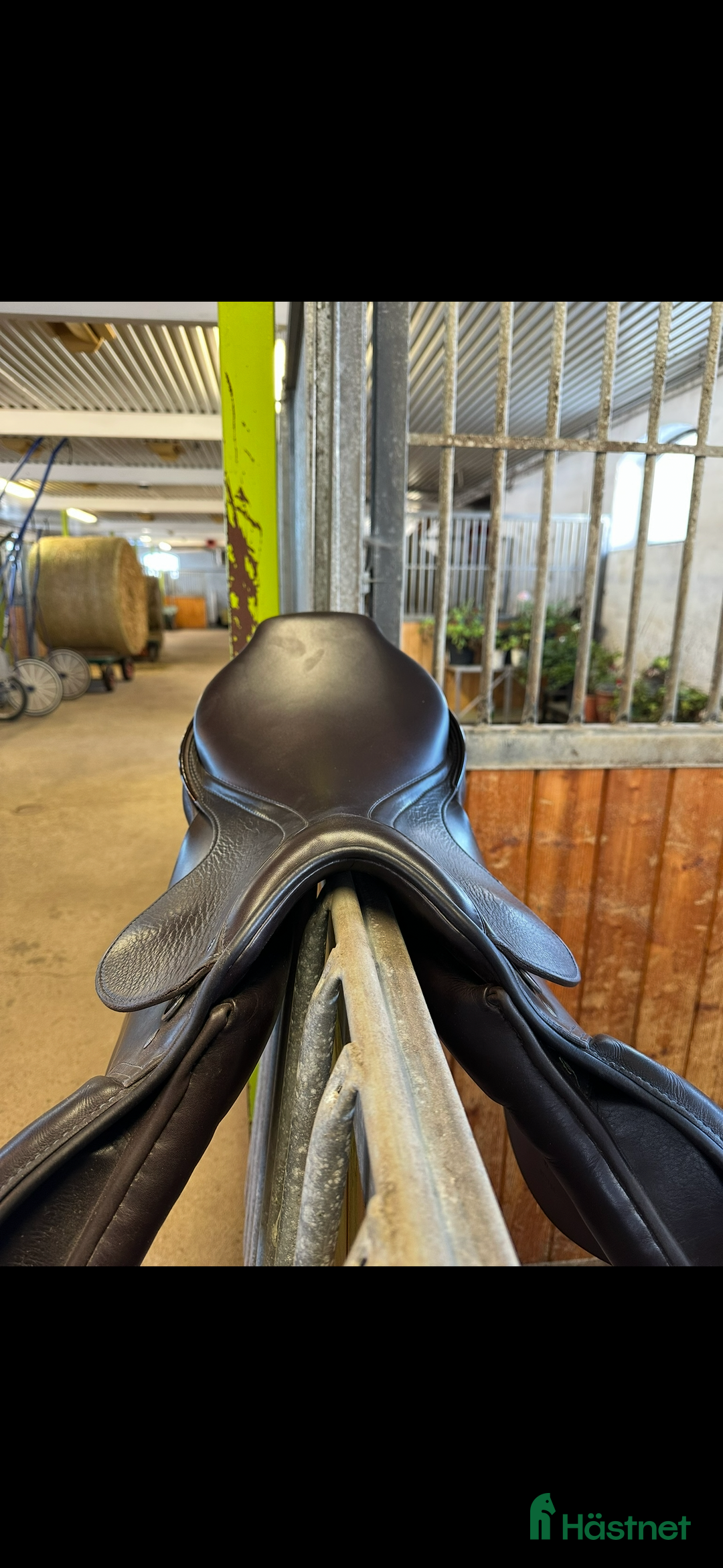 Sadlar hästutrustning till salu: Passier hoppsadel i Fjugesta - Annons 6
