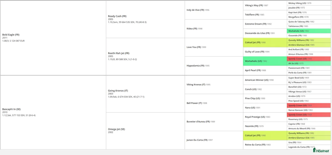 Trav hästar till salu: valack e bold eagle i Nyland - Annons 2