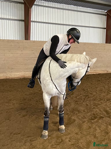 Galleribild {{count}}