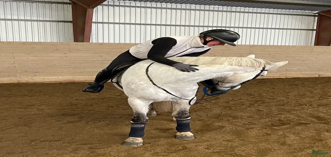 Galleribild {{count}}