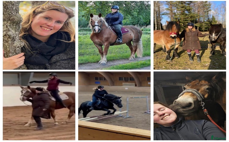 hästar i Töreboda - Annons 1