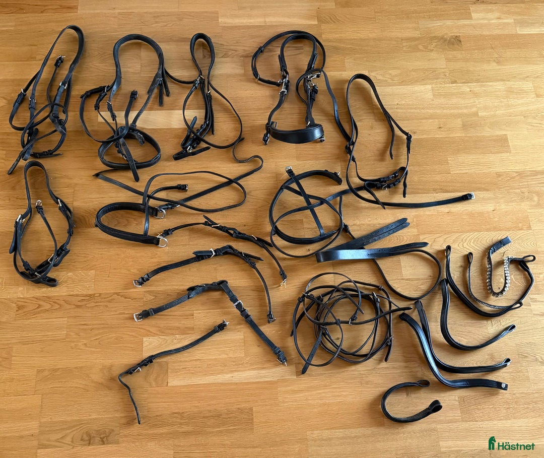 Övrig Hästutrustning hästutrustning till salu: Gjordar, martingal, tyglar, mm i Vikingstad - Annons 6