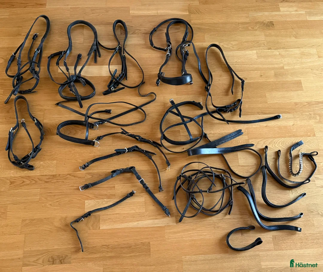 Övrig Hästutrustning hästutrustning till salu: Gjordar, martingal, tyglar, mm i Vikingstad - Annons 6
