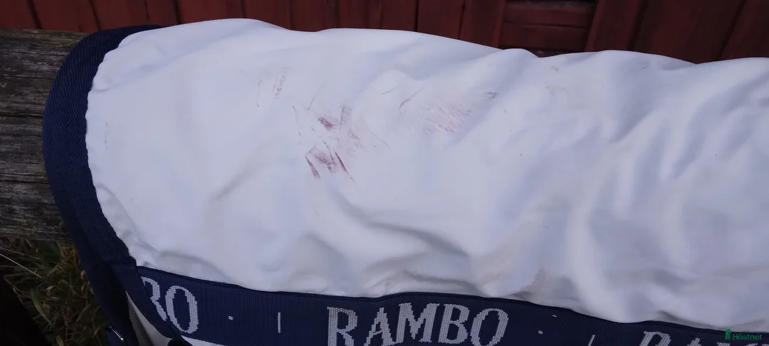 Täcken hästutrustning till salu: Summer Series stl 145 - Annons 8