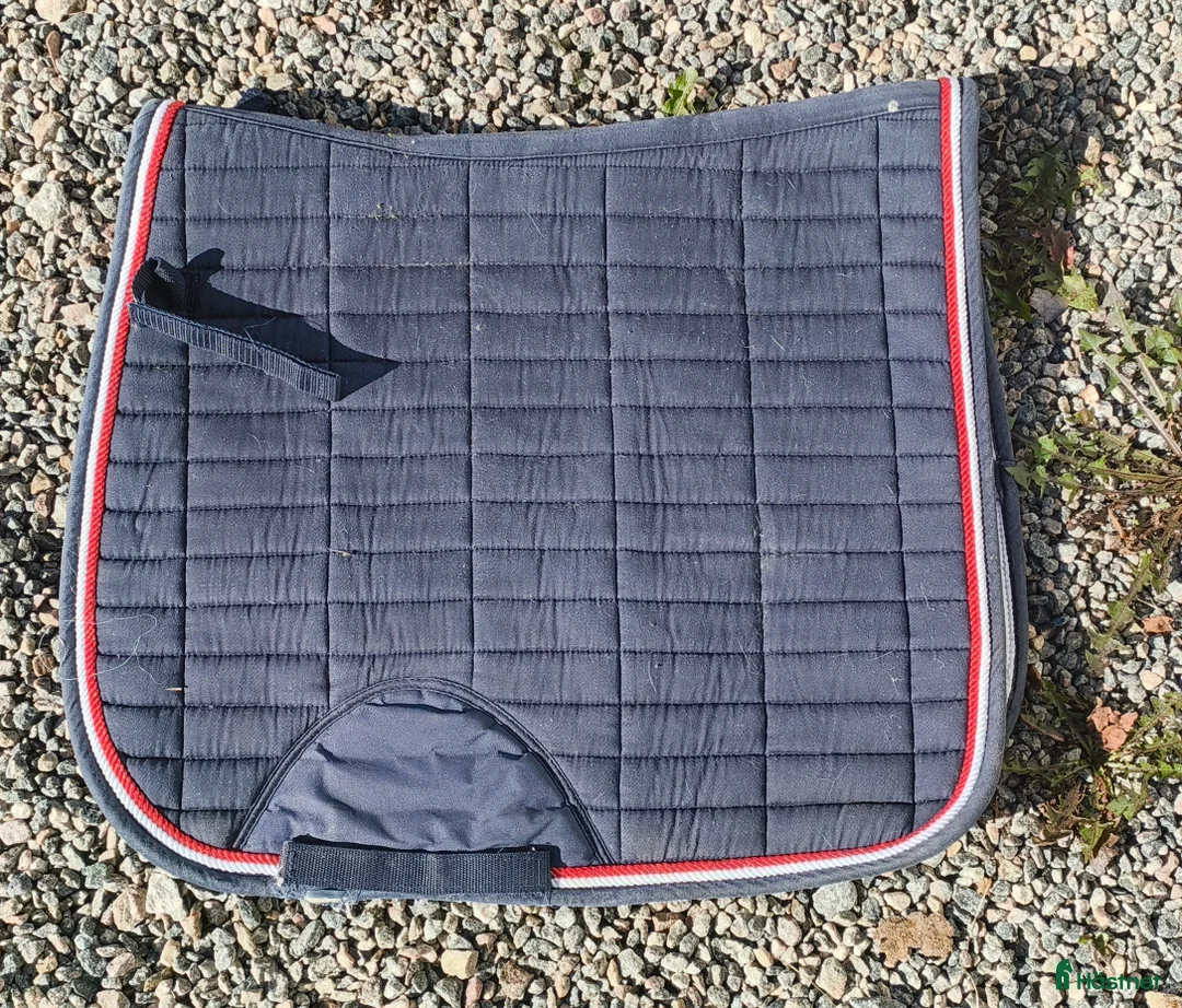 Schabrak & Vojlockar hästutrustning till salu: Olika schabrak från oanvända till begagnade - Annons 2