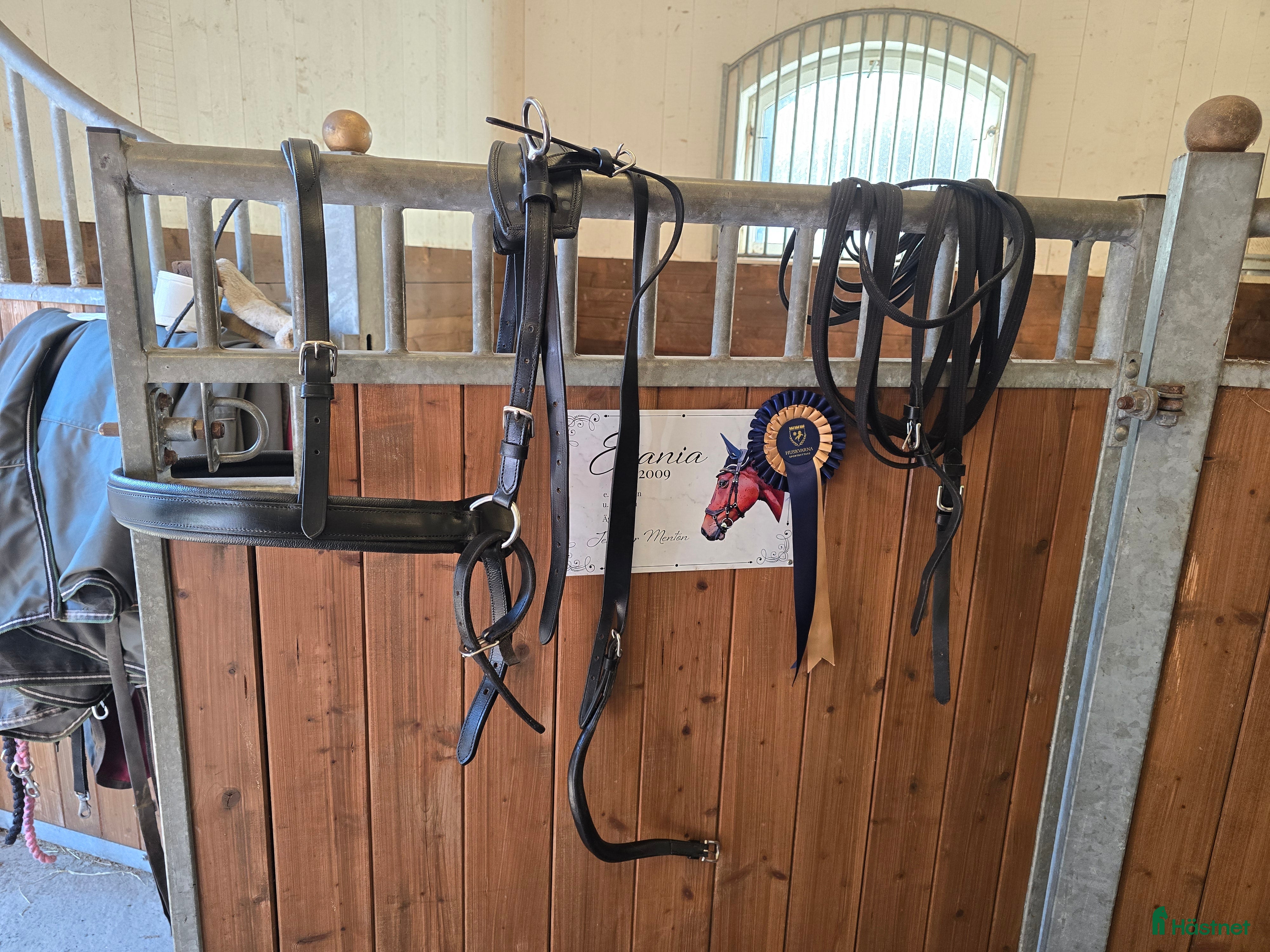 Körselar körning till salu: Bröstsele i Månsarp - Annons 6