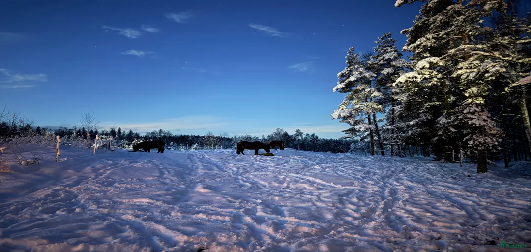 Galleribild {{count}}