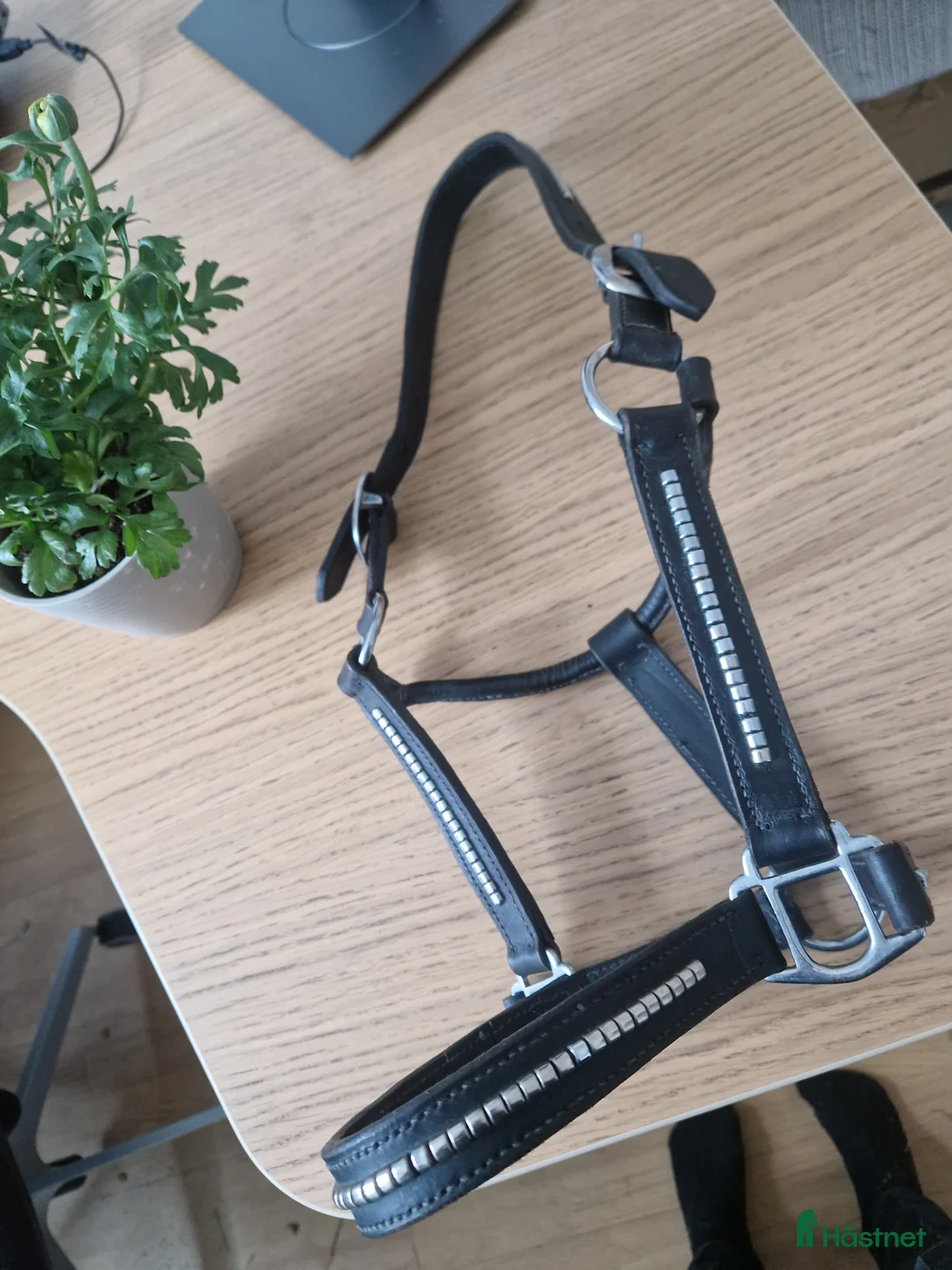 Övrig Hästutrustning hästutrustning till salu: lädergrimma - COB - Svart med klinker i Arboga - Annons 2