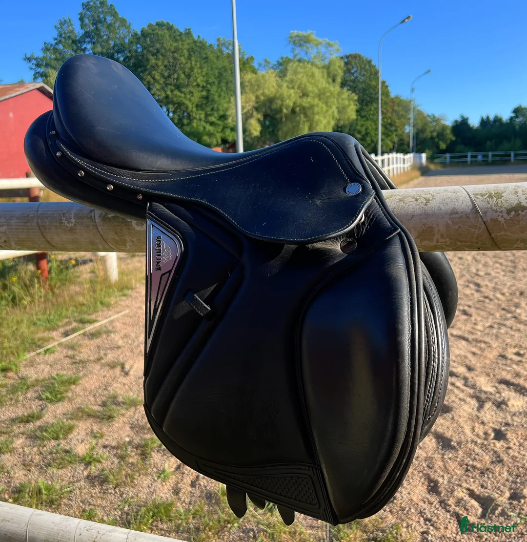Sadlar hästutrustning till salu: Equiline Elite 16” - Annons 2