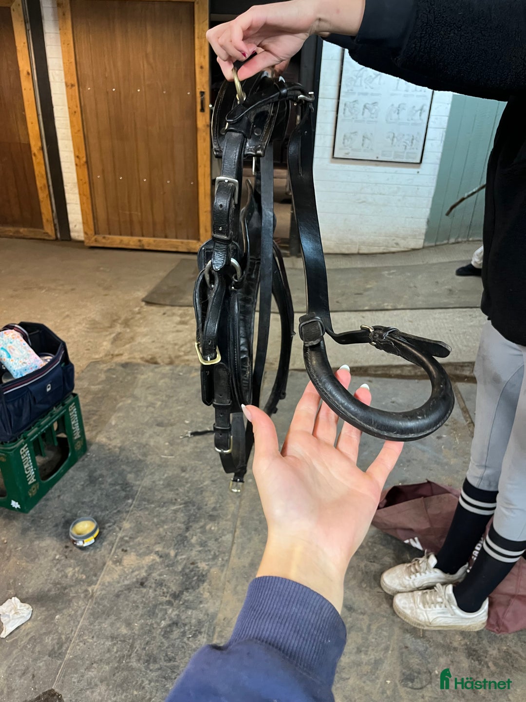 Övrig Hästutrustning hästutrustning till salu: Sele  i Norrköping - Annons 2