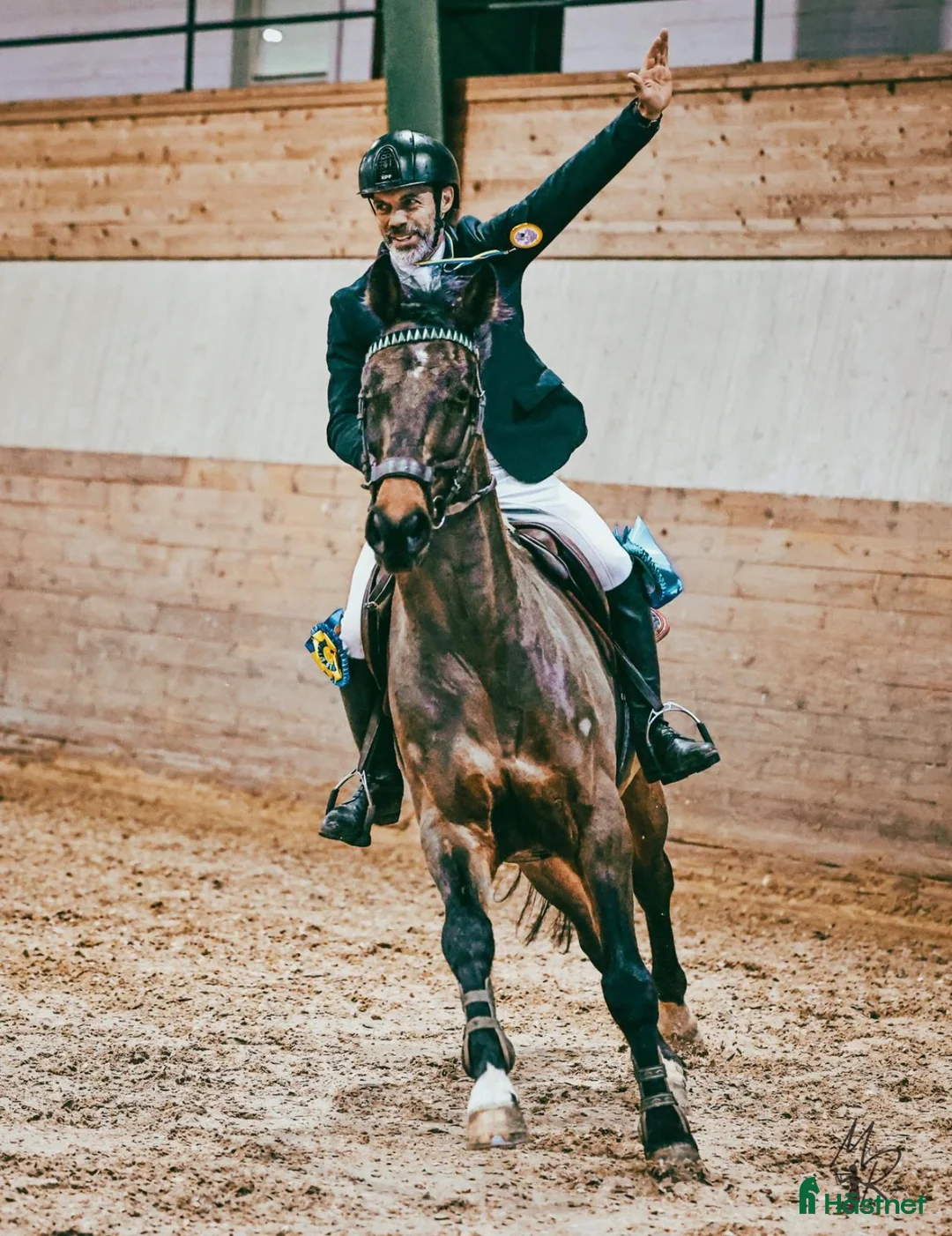 Hoppning hästar till salu: Kenneth 🌟 - Annons 2