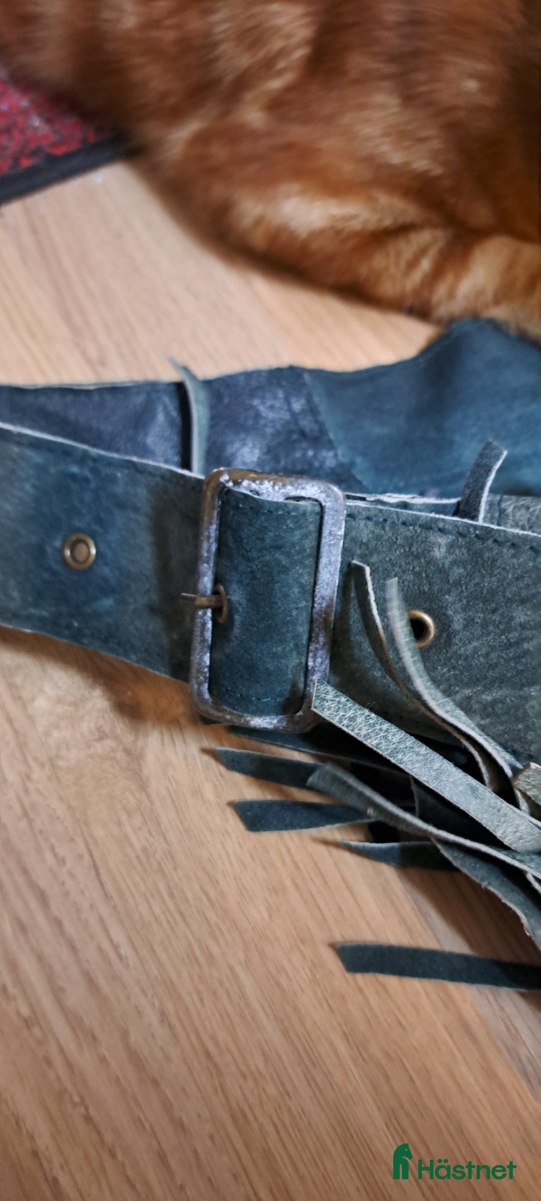 Övrig Ryttarutrustning ryttarutrustning till salu: Hel chaps med fransar i Sjöbo - Annons 6