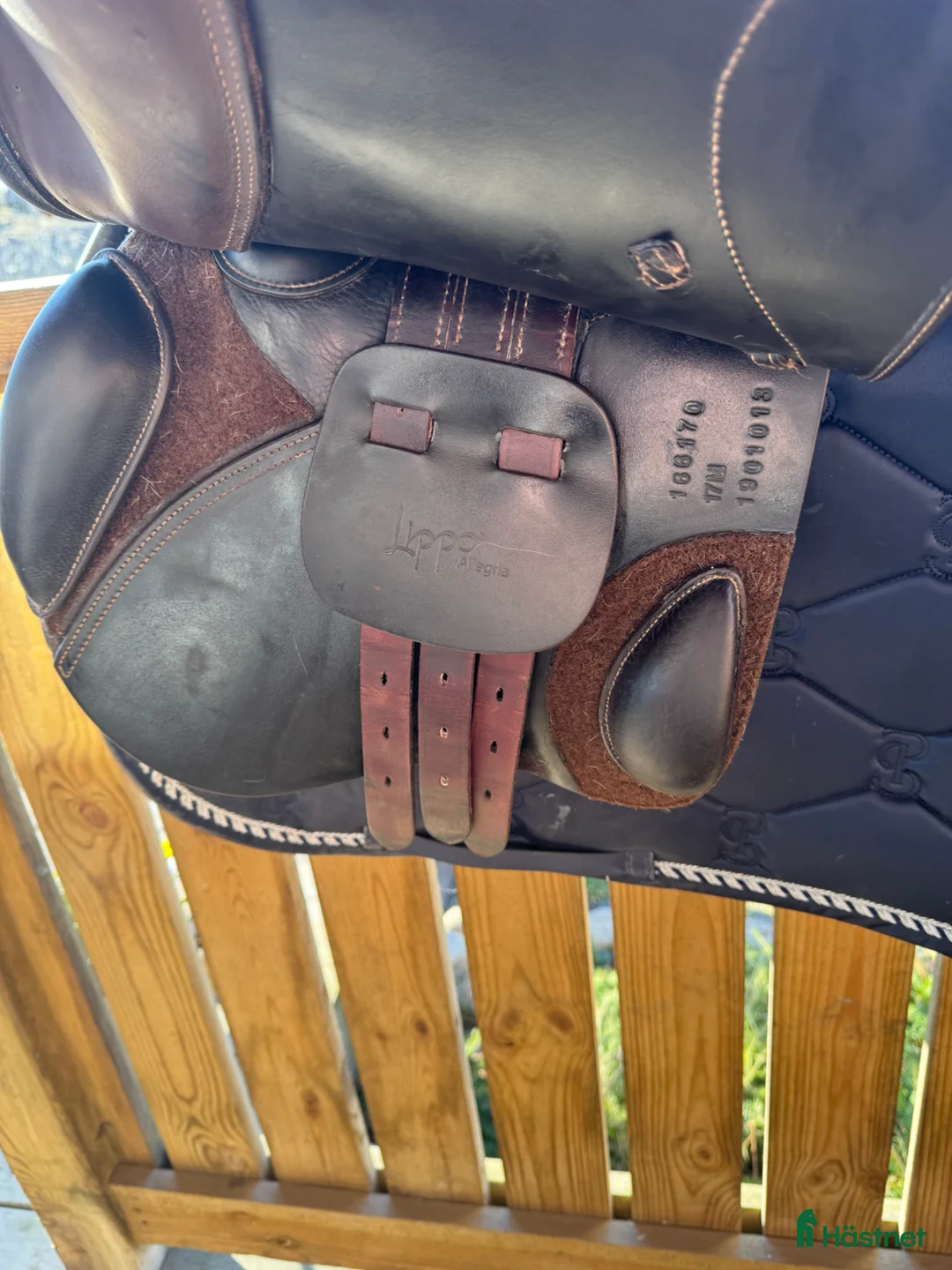 Sadlar hästutrustning till salu: Brun Lippo Allegria 17M i Jönköping - Annons 8