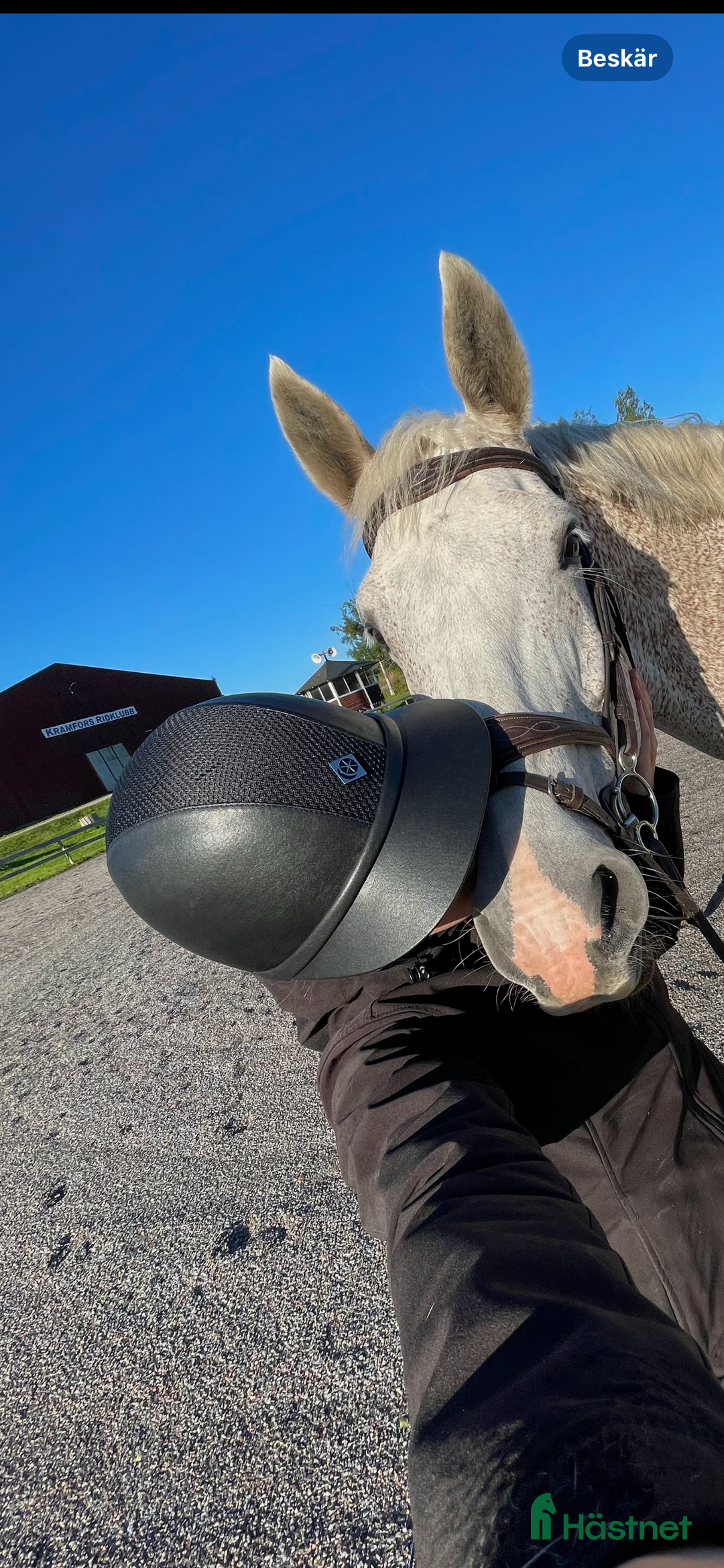 Hjälmar ryttarutrustning till salu: Charles Owen hjälm i Kramfors - Annons 3