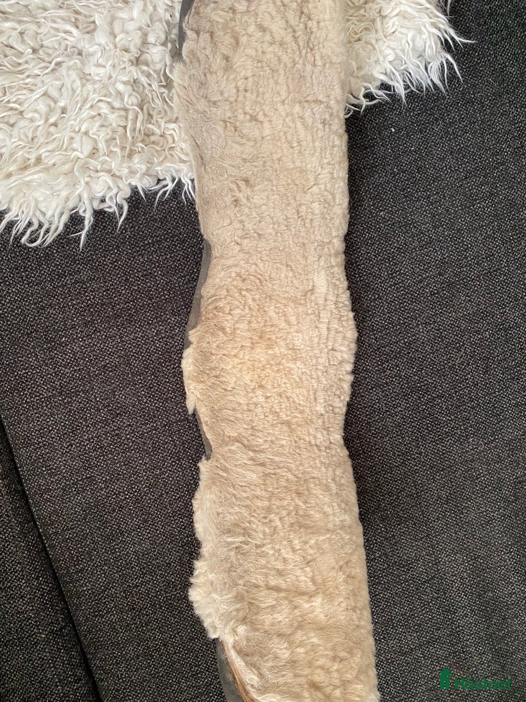 Sadeltillbehör hästutrustning till salu: Gjordskydd i lamm  i Pålsboda - Annons 2