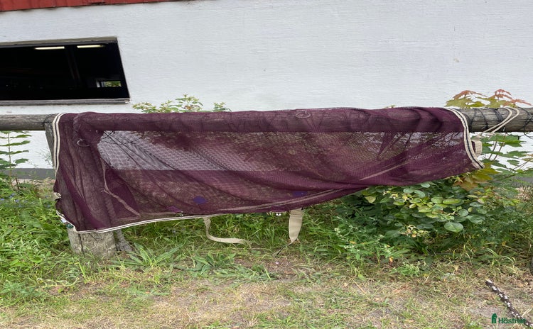 Täcken hästutrustning till salu i Tollarp - Annons 12