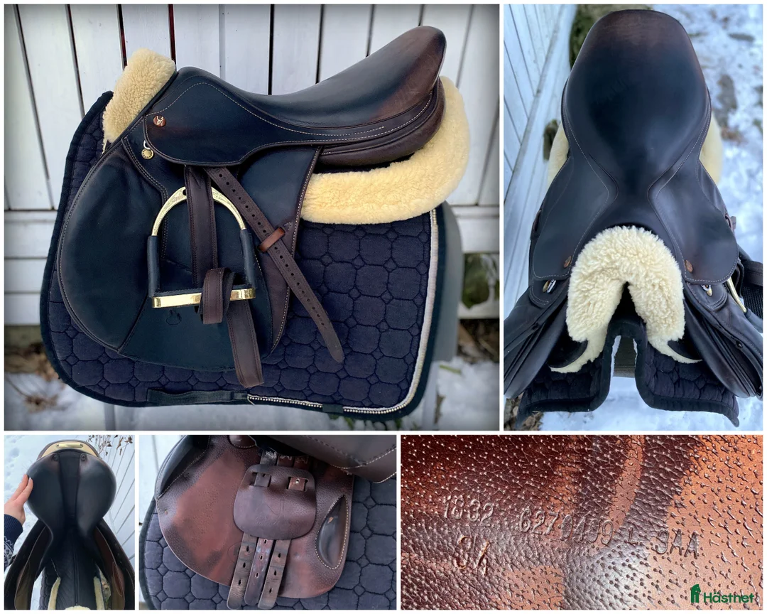 Sadlar hästutrustning till salu: Prestige Paris 18' hoppsadel i Alunda - Annons 1