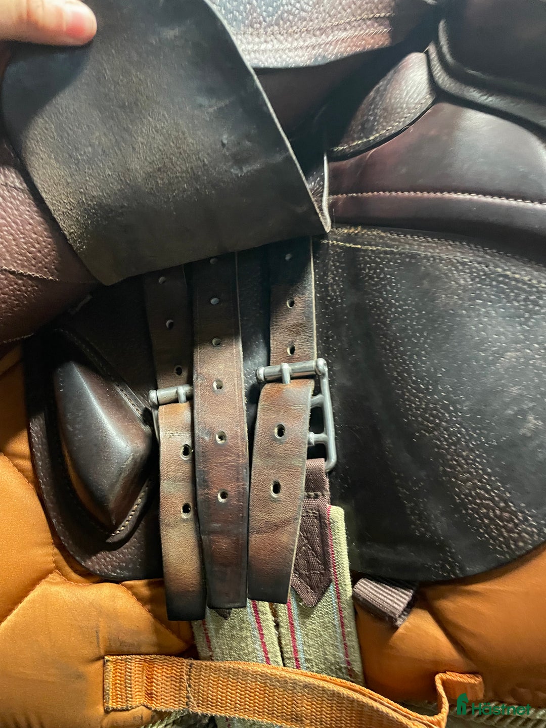 Sadlar hästutrustning till salu: Fin CWD i Trelleborg - Annons 5