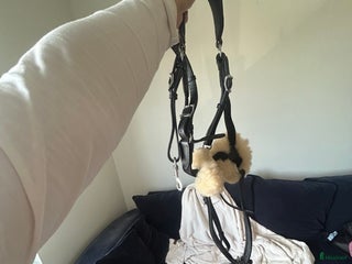 Övrig Hästutrustning hästutrustning till salu: Förbygel i Kalmar - Annons 2