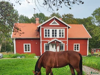 hästar Travare sto i Korsberga - Annons 7