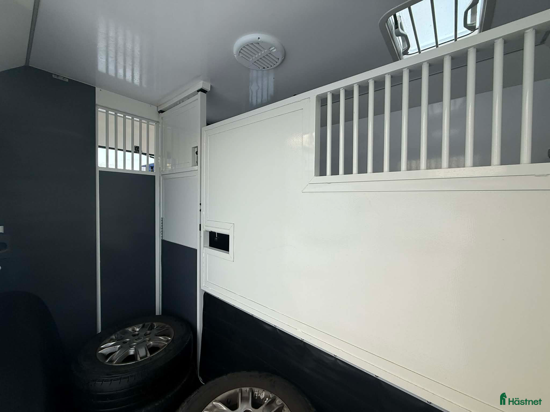 Hästlastbilar  fordon & transport till salu: ALFAB 5 SITS 2023 STUTERI AUTOMAT LÅGA MILTAL i Köping - Annons 5