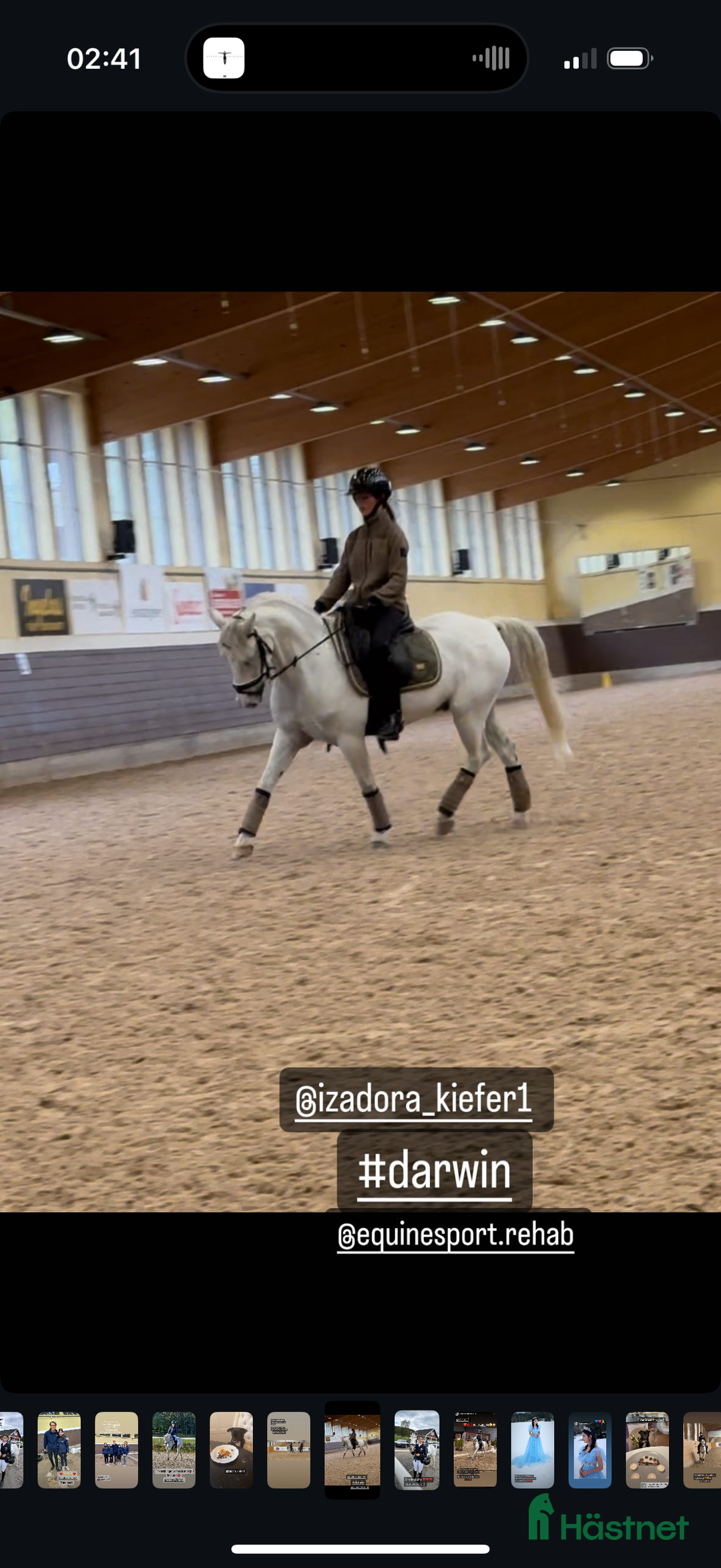 Dressyr hästar till salu: Drömponny för den lilla ryttaren i Norrköping - Annons 4