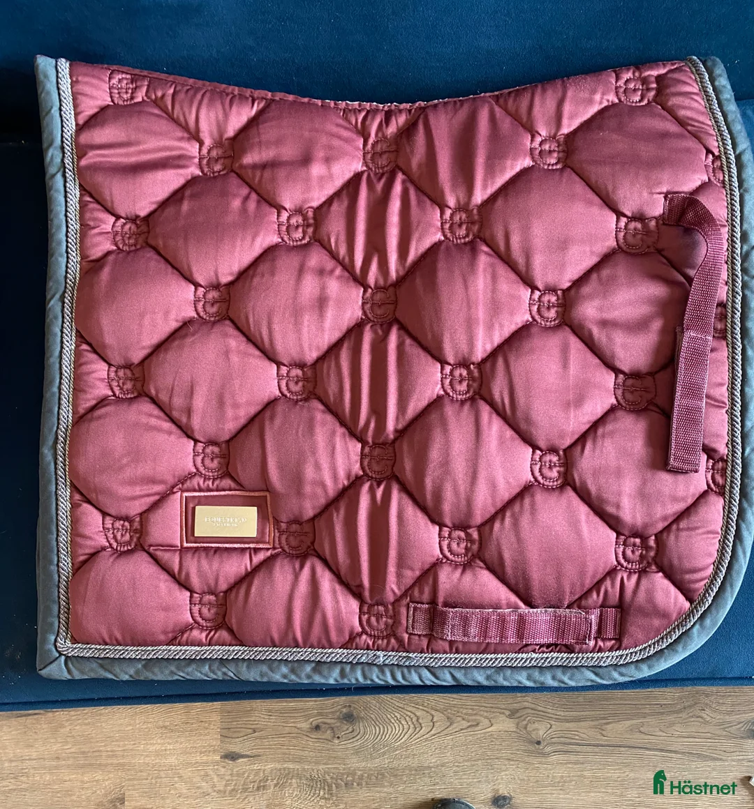 Schabrak & Vojlockar hästutrustning till salu: Equestrian dressyr schabrak - Annons 1