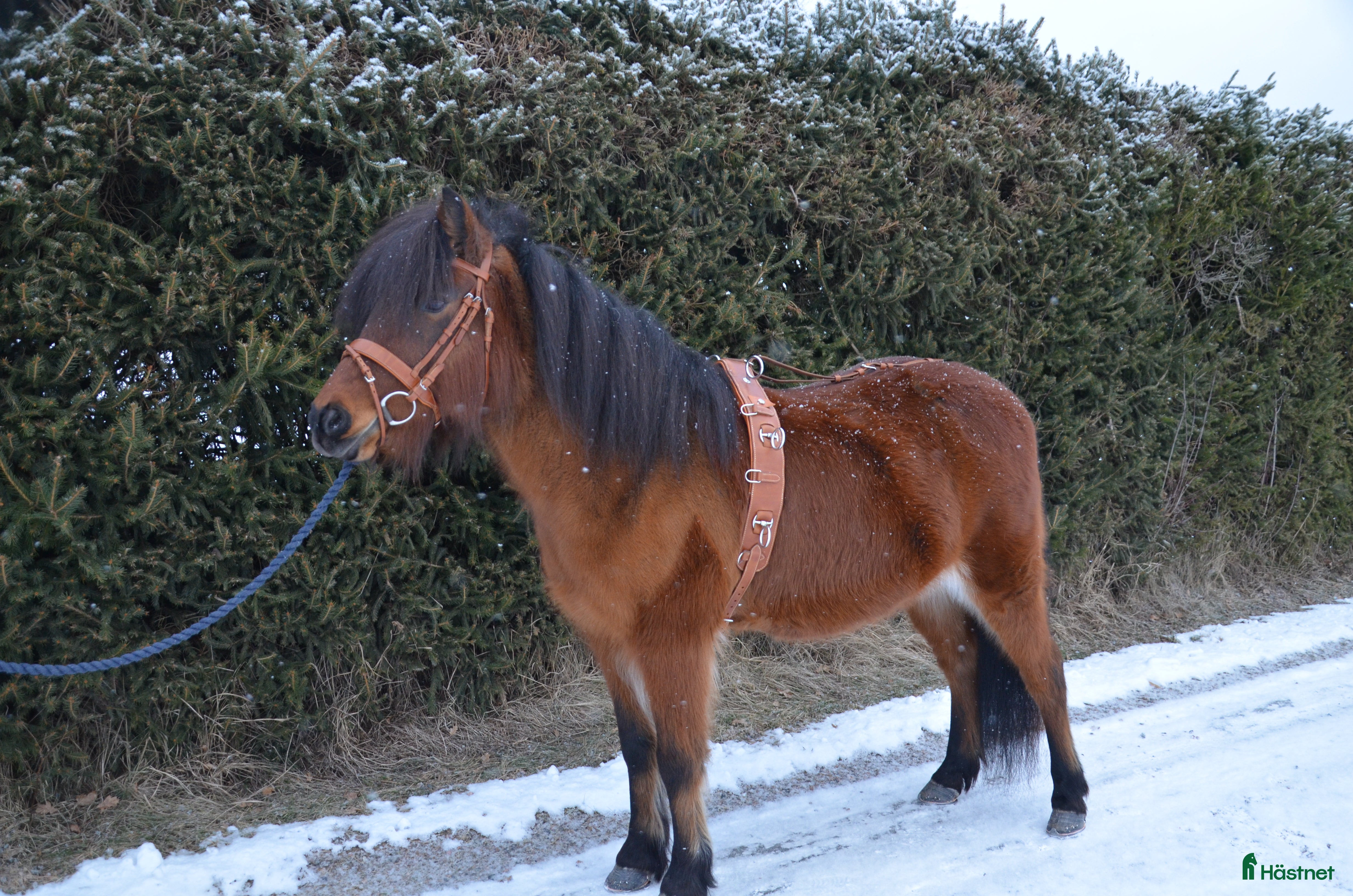 Övrig Körutrustning körning till salu: Tömkörningsdäckel i Vännäs - Annons 17