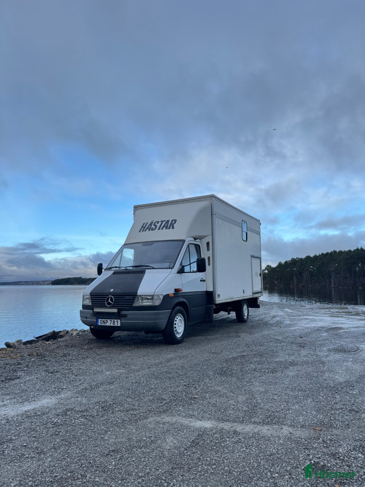 Hästlastbilar  fordon & transport till salu: B-kortsbuss - Mercedes Sprinter - Annons 4
