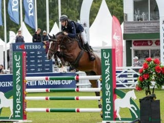 hästar Hopphäst med det där extra, lämplig J-YR häst i Älmeboda - Annons 17