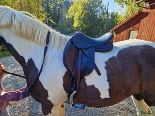 Sadlar hästutrustning till salu: Ponnysadel hoppning 15 tum i Månkarbo - Annons 6