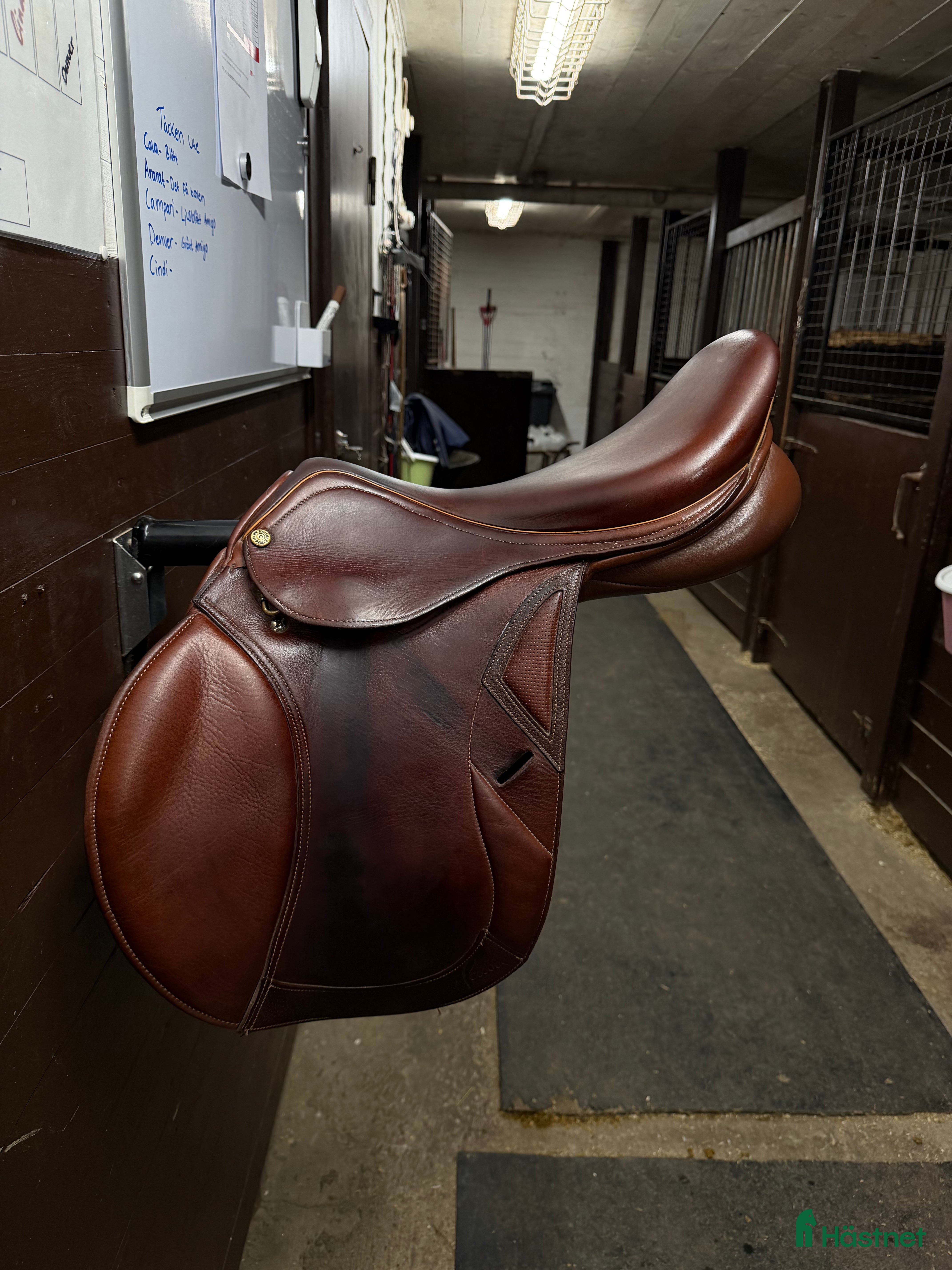 Sadlar hästutrustning Pessoa Gen X pro - Annons 2