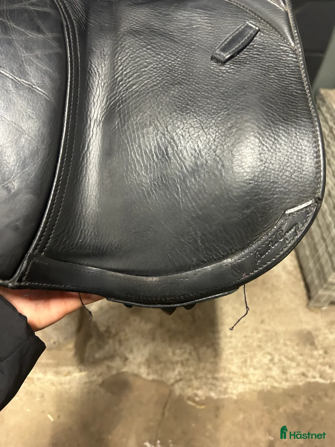 Sadlar hästutrustning till salu: Santa Cruz Hoppsadel i Nyköping - Annons 12