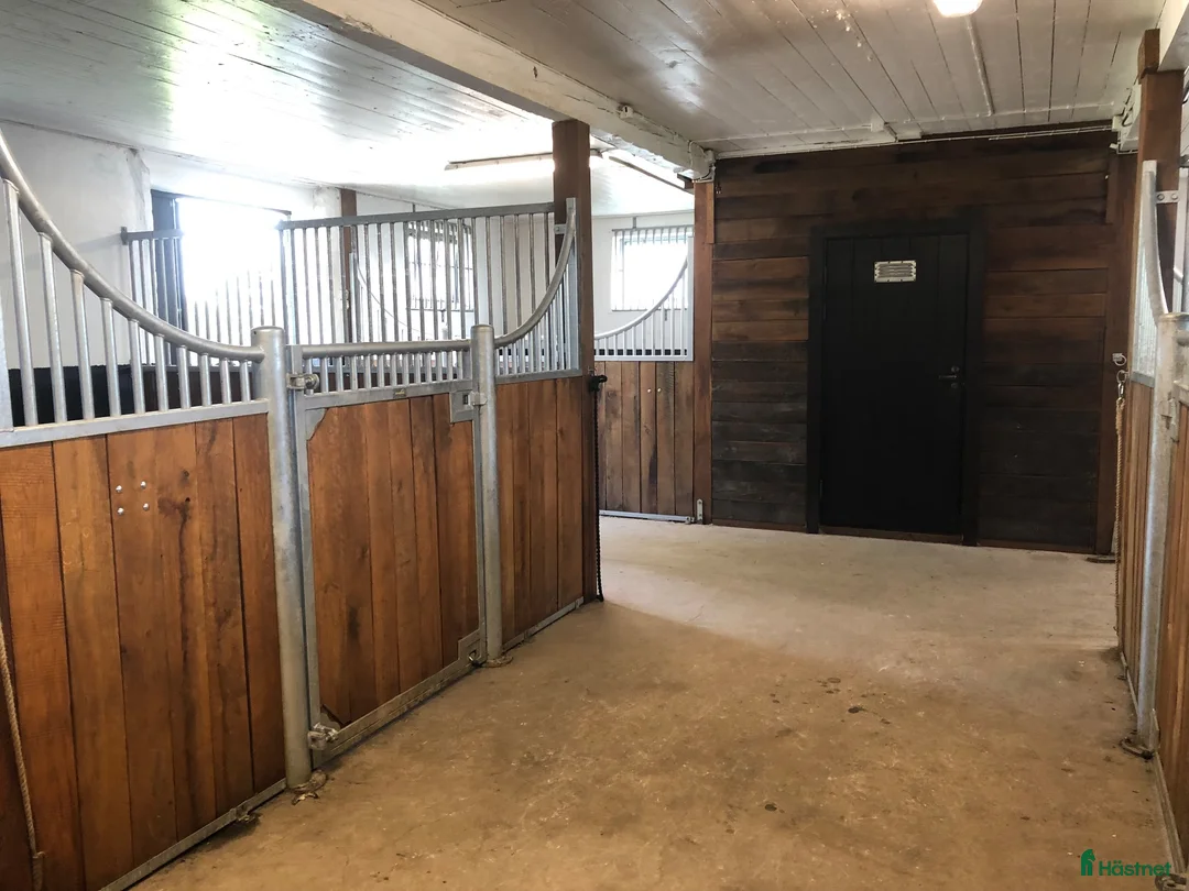  stallplats finnes: Stallplatser med naturskönt läge!  - Annons 2