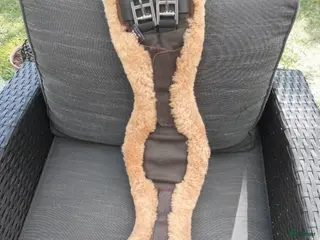 Sadeltillbehör hästutrustning till salu: Mattes dressyrgjord anatomic 65 cm i Göteborg - Annons 1