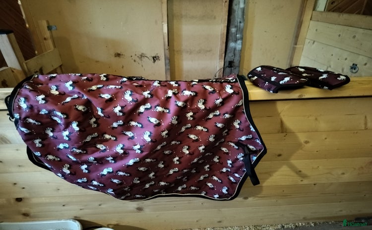 Täcken hästutrustning till salu i Luleå - Annons 18