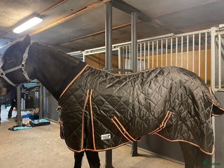 Täcken hästutrustning till salu: Olika hästtäcken i Alingsås - Annons 8