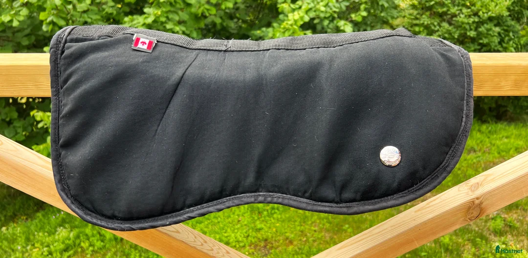 Sadeltillbehör hästutrustning till salu: Ogilvy pad - Annons 1