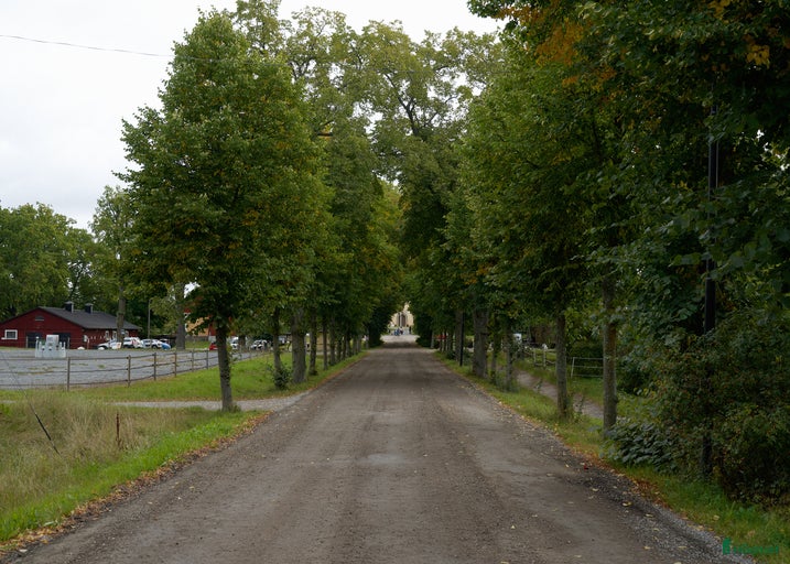 Galleribild {{count}}