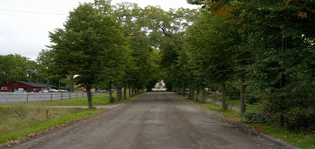 Galleribild {{count}}