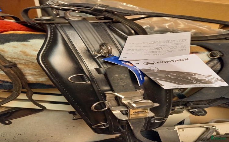 Travselar trav till salu i Umeå - Annons 12