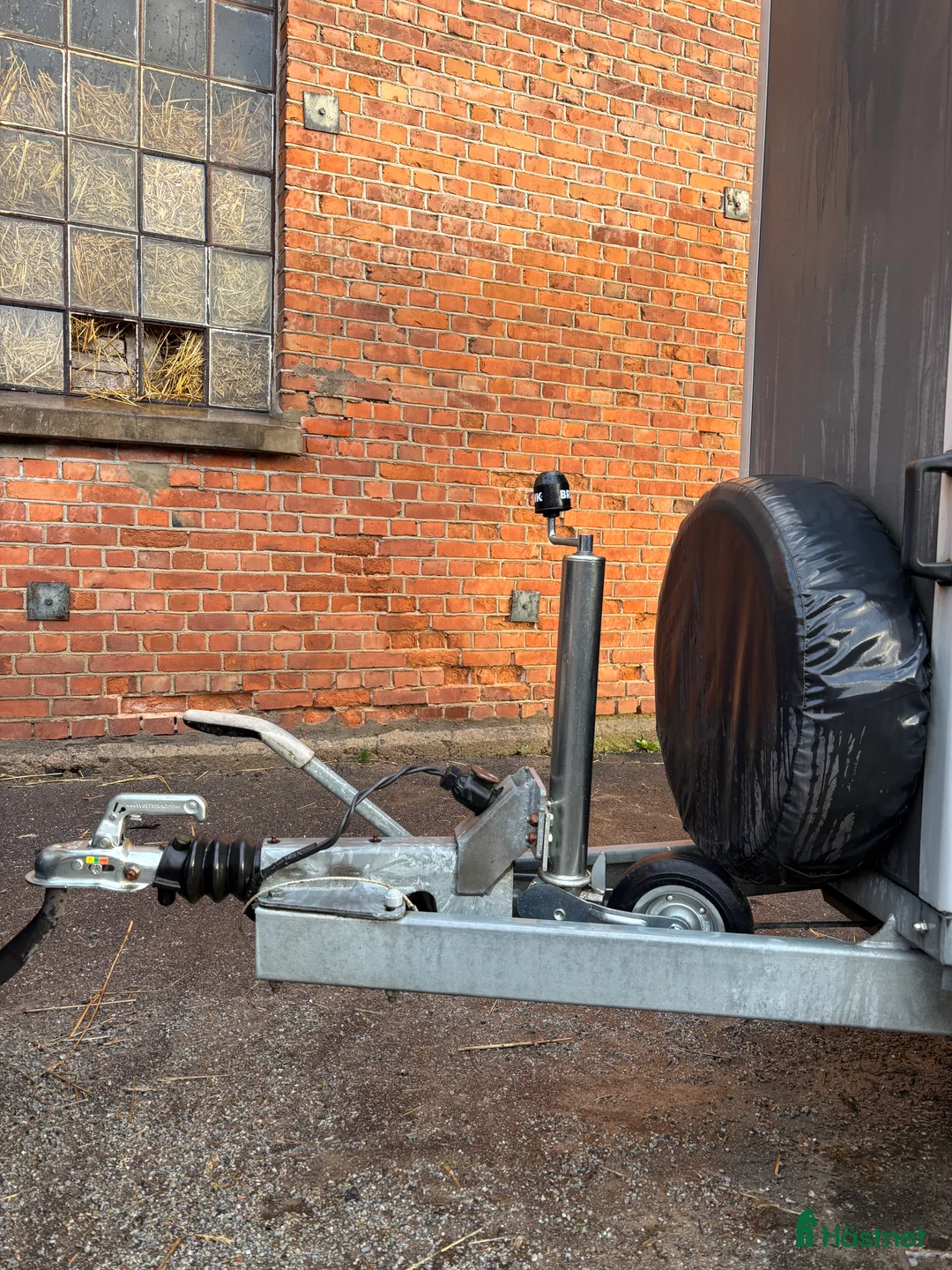 Hästtransporter  fordon & transport till salu: Cheval gold  i Karlshamn - Annons 2