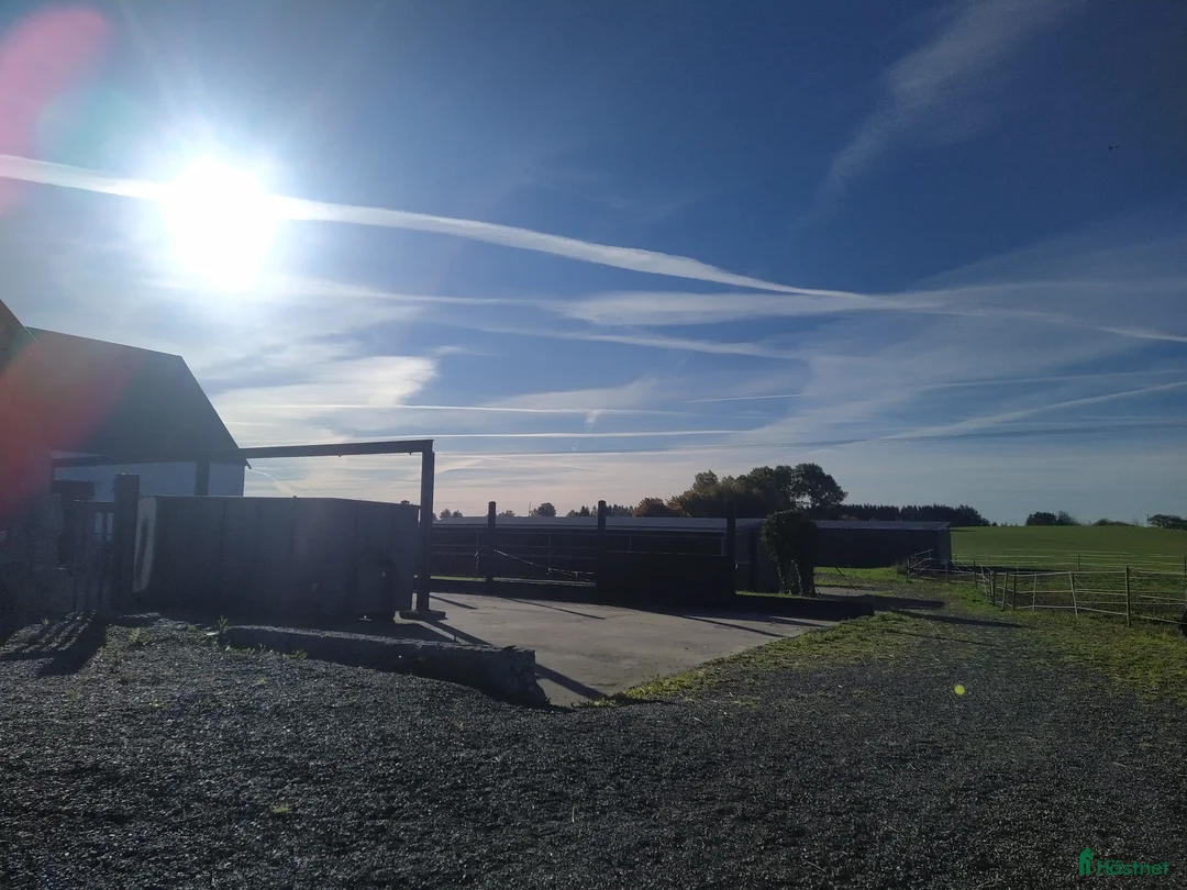  stallplats finnes: Hästboxar att hyra på en fantastisk tomt.  i Tomelilla - Annons 28