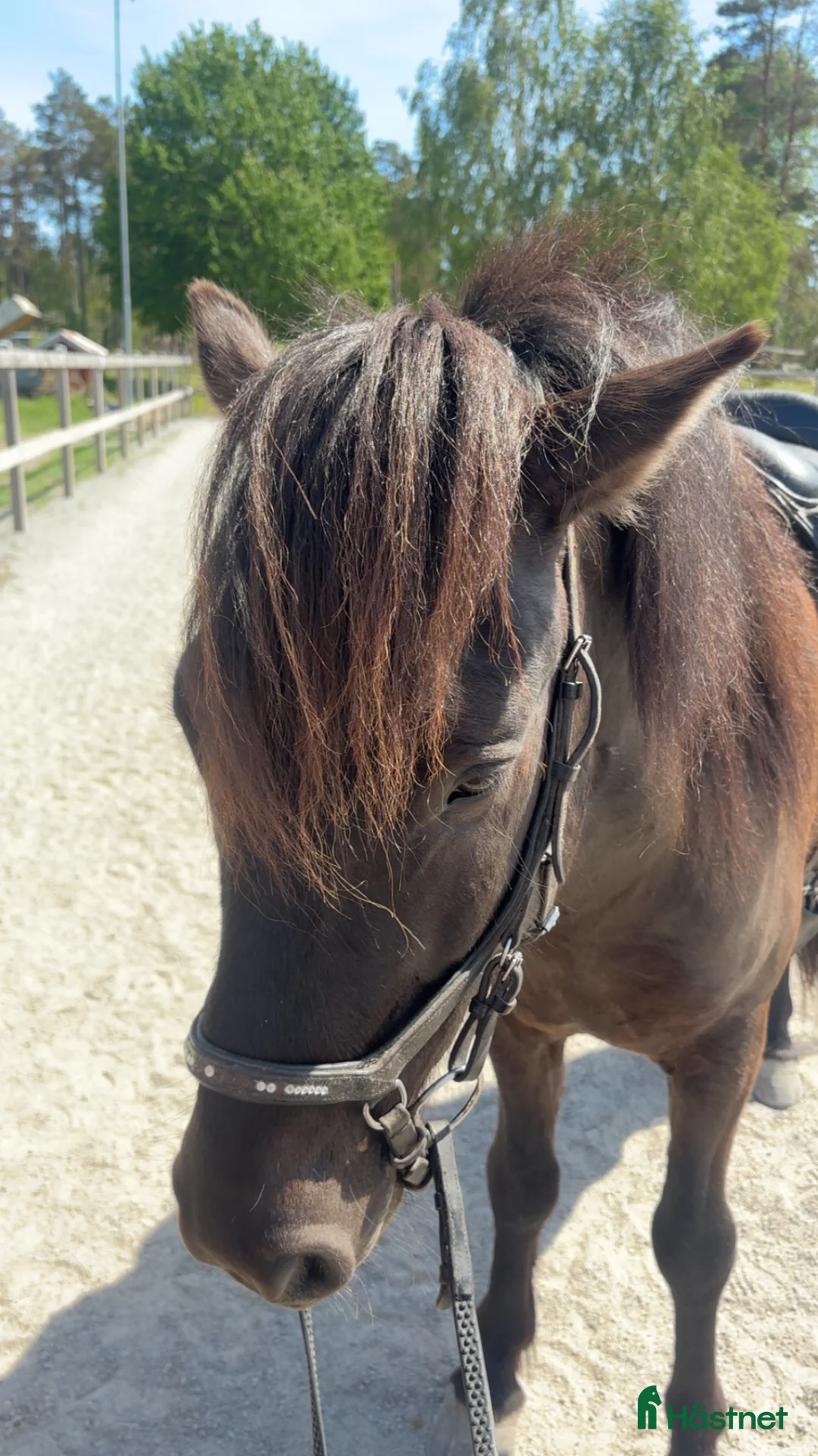  stallplats finnes: Stallplats sökes i Täby/vallentuna - Annons 2