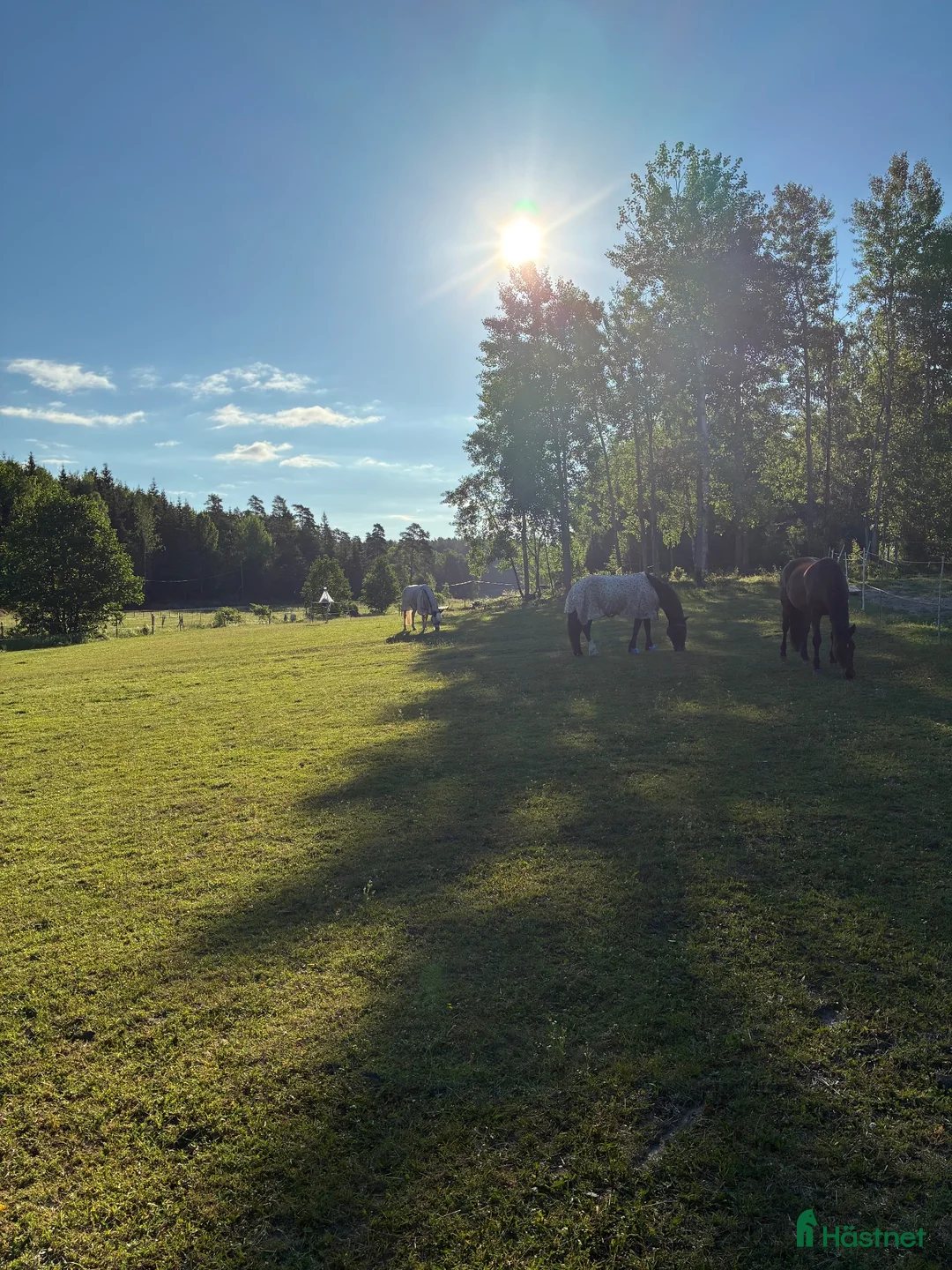  stallplats finnes: Boxplats - Annons 2