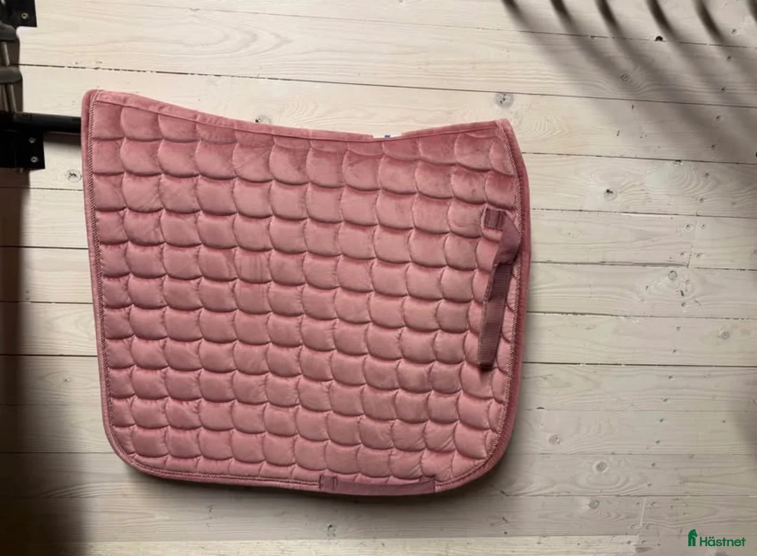 Schabrak & Vojlockar hästutrustning till salu: Fina Dressyrschabrak till salu!  i Gråbo - Annons 4